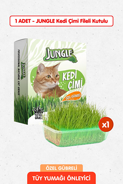 Jungle Özel Gübreli %100 Doğal Kedi Çimi Fileli ve Kutulu Tüy Yumağı Önleyici
