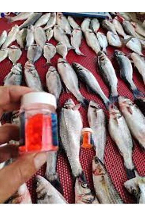 RENAT CARP Deniz Ve Tatlı Su Levrek Çupra Alabalık Havyar Silikon Yem Karides Kokulu 6 Mm (90 Adet)