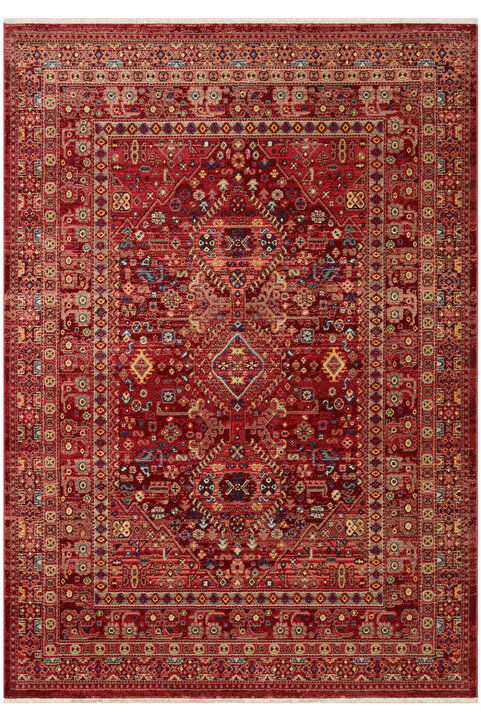 Cool Halı Anka Kırmızı Etnik Desen Renkli Vintage Yumuşak Otantik Kolay Temizlenir Salon Oturma Odası Halısı