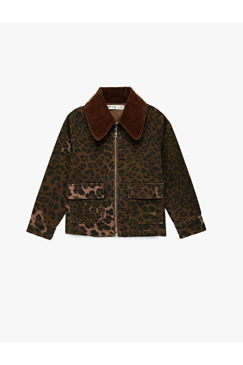 Koton Pamuklu Uzun Kollu Oversize Kadife Polo Yaka Leopar Desenli Jean Ceket