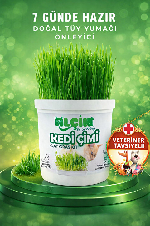 ALÇİN Kedi Çimi Tüy Yumağı Önleyici Etkili Sindirim Sistemi Dostu ve %100 Doğal