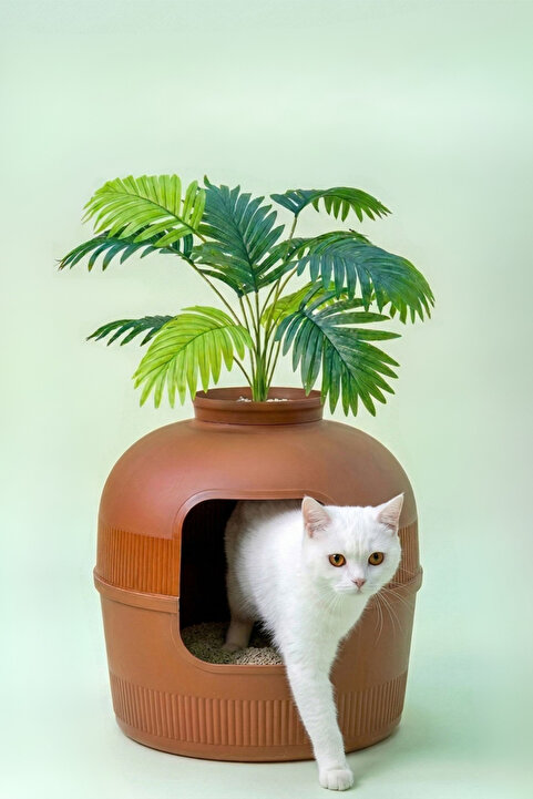 Dekorapet Dekoratif Kedi Tuvaleti/evi