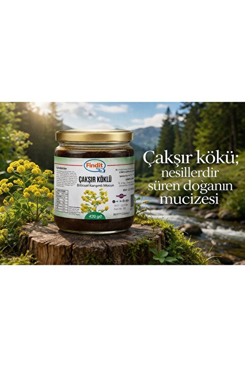 Findit Çakşır Köklü Bitkisel Karışımlı Macun, Doğal Kök Özlü, Geleneksel Formül 420 gr
