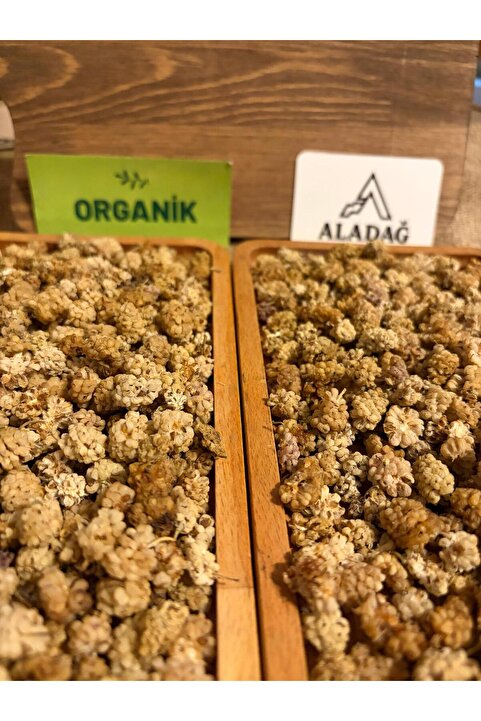 ALADAĞ Dut Kurusu 1KG
