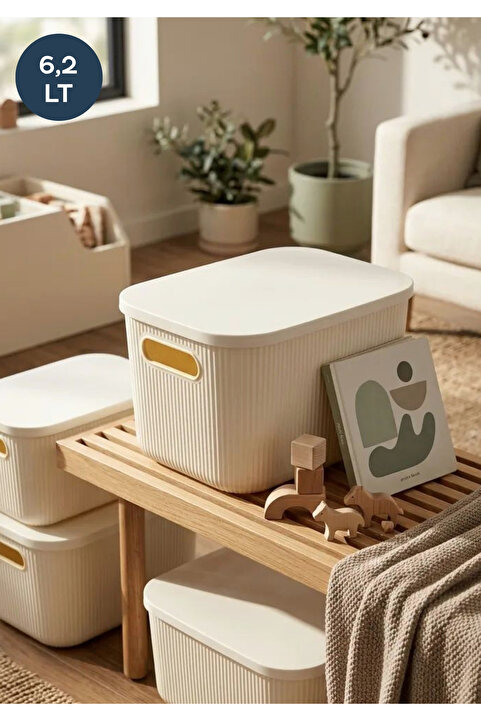 HOMİNG Çok Amaçlı Kapaklı Organizer Kutu -box-takı Makyaj Banyo Mutfak Düzenleyici Ekru 6 Lt Org-2023