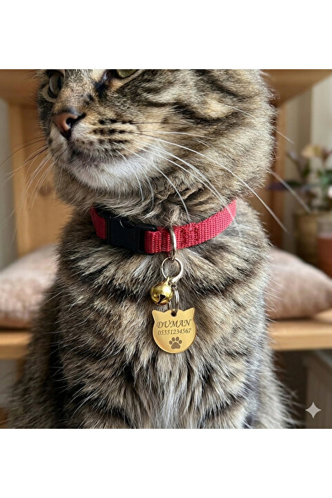hebmeyy Kedi Isimlik Ve Tasma Seti, Kişiye Özel Isimlik