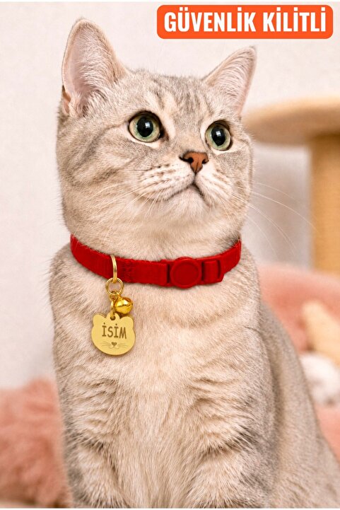 CARAMELOS İSİMLİ KEDİ TASMASI KEDİ İSİMLİK KİŞİYE ÖZEL-GÜVENLİK KİLİTLİ- EKO SERİSİ