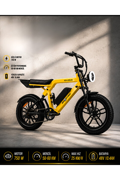 Ape Ryder COLOBUS PREMİUM ELEKTRİKLİ BİSİKLET 750W