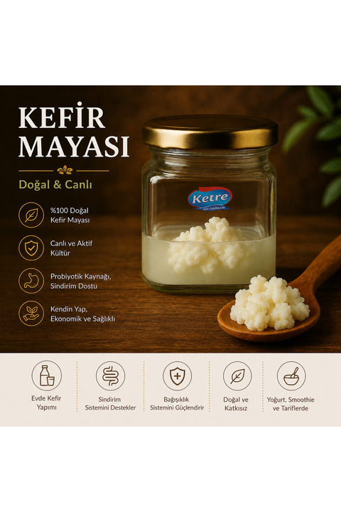 Ketre Süt Ürünleri Kefir Mayası Ev Yapımı Canlı Tane Organik Kafkas Süt Kefir Mayası Doğal Probiyotik