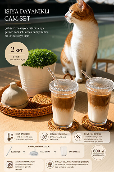 KÜÇÜK EW 2 Adet 400 ml Cam Kapaklı Pipetli Origami Stil Cam Bardak | Kahve Ve Sunum Bardağı| Meşrubat Bardağı