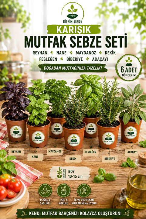 Bitkim Sende Mutfak Sebze Seti Reyhan Nane Kekik Fesleğen Biberiye Adaçayı Fidesi Toplam 6 Adet