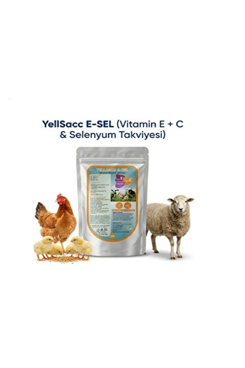 YILDEM Kuş ve Kanatlılar İçin Vitamin Takviyesi –YILSAC E-SEL+ C 100 gr X 1 Adet