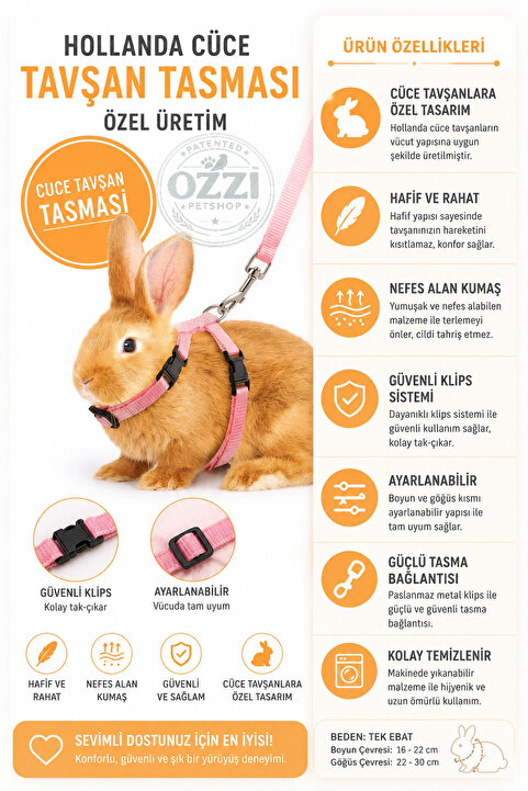 ozzipetshop Hollanda Cüce Tavşan Tasması