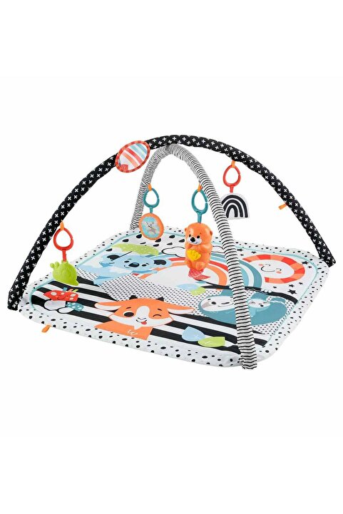Fisher Price Neşeli Hayvanlar 3'Ü 1 Arada Jimnastik Merkezi - Standart
