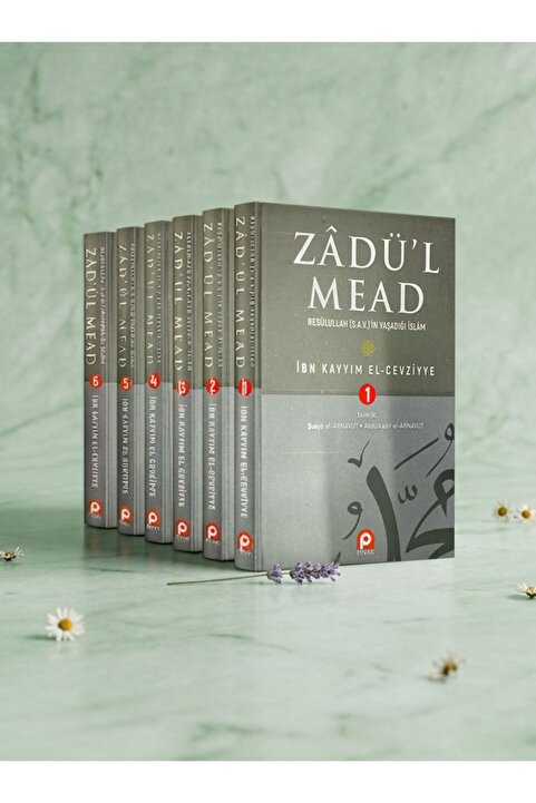 Pınar Yayıncılık Zadu'l Mead "resulullah'ın Yaşadığı Islam" (6 Cilt Takım)