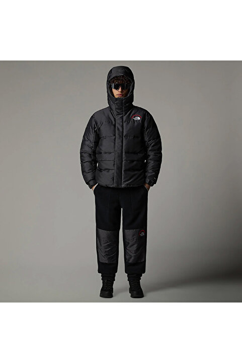The North Face Himalayan 30th Anniversary Erkek Gri Parka