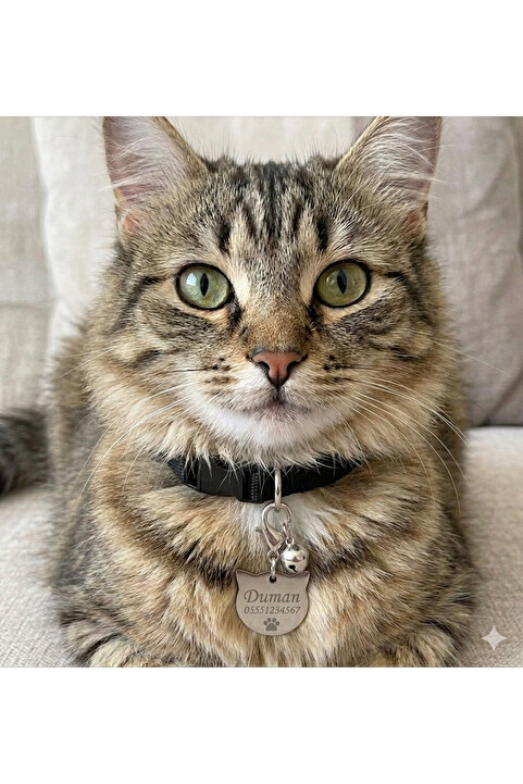 hebmeyy Kedi Isimlik Ve Tasma Seti, Kişiye Özel Isimlik, Açıklamayı Okuyunuz