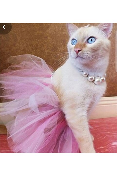 CAN BUTİK Canbutik Kedi Tütü Etek
