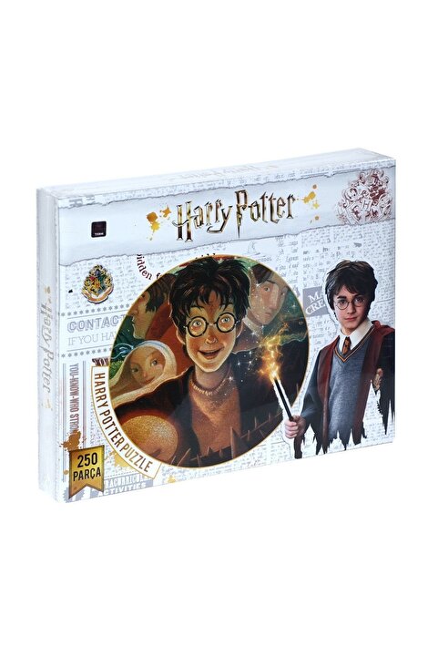 BYR Laço Kids Harry Potter 250 Parça Puzzle