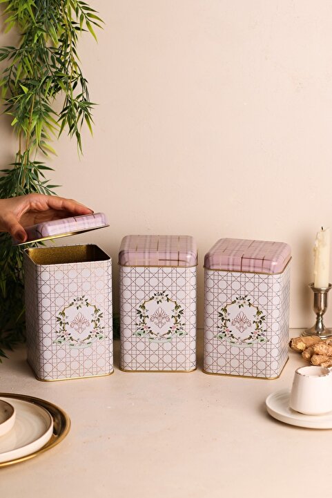 Evle Erb09u7 Kare Saklama Kabı 105x105x160 3 Lü Set, Rosy
