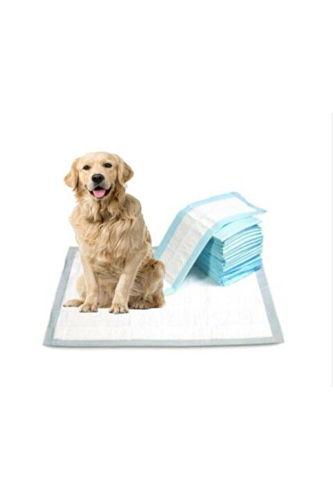CSR Kedi Köpek Çiş Pedi Serme Bezi Yatak Koruyucu Örtü 30'lu Paket