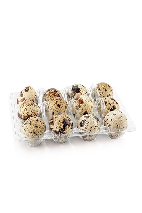 sude hayvancılık YUMURTA BILDIRCIN TEKSAS kuluçkalık 24ADET 500GRAM+