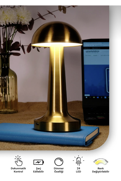 KÜÇÜK EW Masa Lambası USB Şarjlı 3 renkli fener Gold