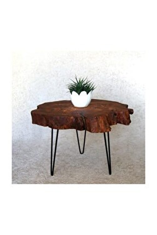 Entema Dogal Ahsap Masif Agac Kutuk Orta Sehpa Metal Ayak Fiyati Yorumlari Trendyol