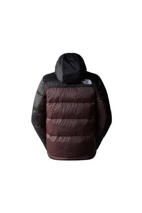 The north face shop halo down hoodie