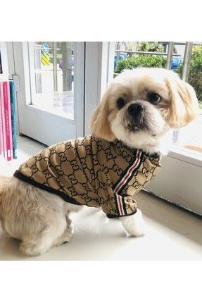 Pet sweatshirt sales