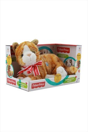 Birlik Toys Fisher Price Buyuk Boy Pelus Kedi Fiyati Yorumlari Trendyol