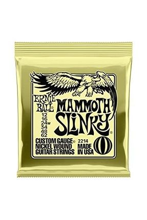 Ernie ball hot sale electric