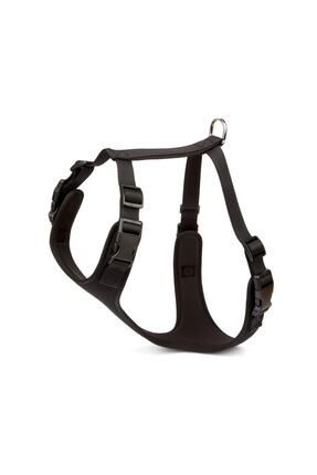 Pet harness kmart 2025