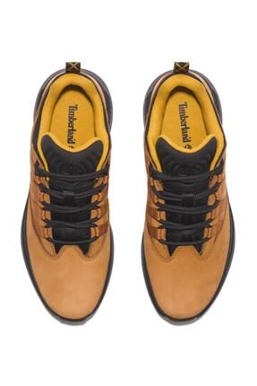 Timberland sneakers 2017 2025