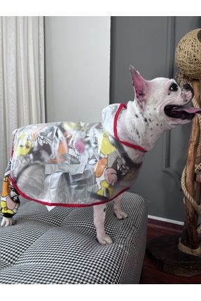 Pet clothes hotsell store near me