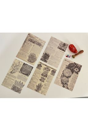 Vintage, Bitki, Çiçek Kağıt Temalı Journal Set, Scrapbook, Bullet, Galeri Duvarı, Sanatsal Baskı/3