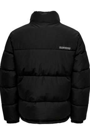 Timberland sls down top puffer