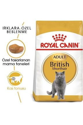 Royal canin british shorthair 10 kg store