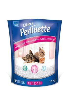 Petbox outlet