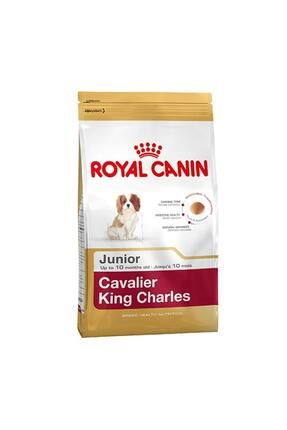 Royal canin king charles junior outlet