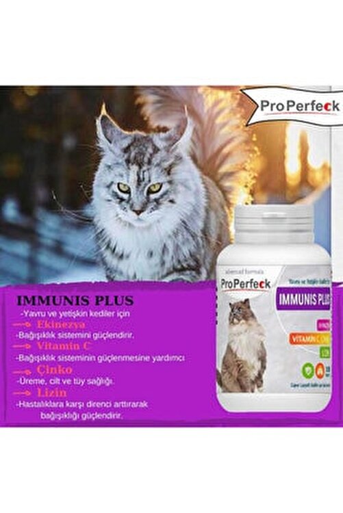 Pro Perfeck Yavru Ve Yetiskin Kediler Icin Immunis Plus Ekinazya Vitamin C Cinko Lizin 100 Tablet Fiyati Yorumlari Trendyol