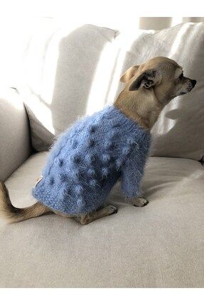 Pet cloth best sale