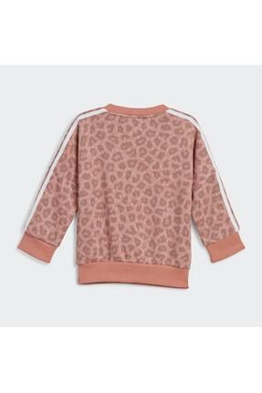 Adidas snake print tracksuit discount