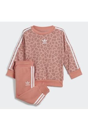 Adidas tracksuit leopard on sale