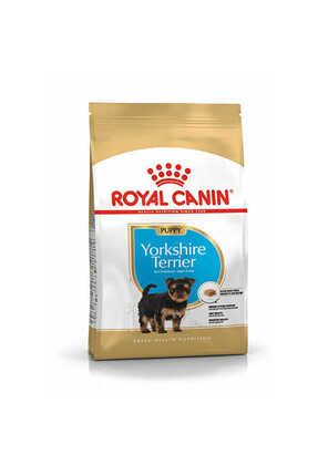 Pet food express hot sale royal canin
