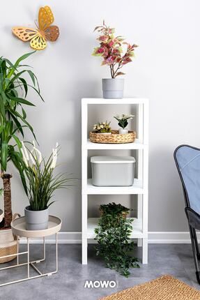Home shelf best sale