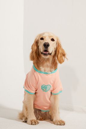 Köpek Kıyafeti - Köpek Tişört (%100 PAMUK)