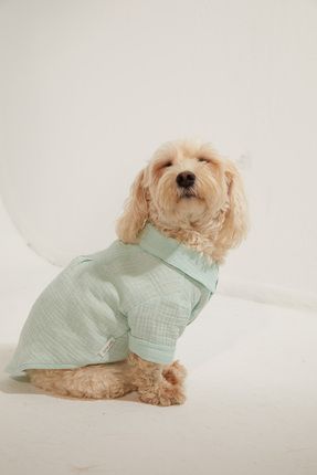Köpek Kıyafeti - Köpek Gömlek (%100 PAMUK MÜSLİN)