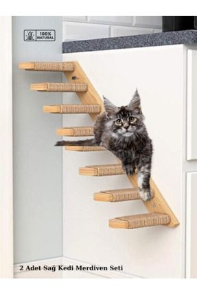 Doğal Kedi Tırmanma ve Tırmalama Merdiveni Ahşap tasarım Duvara Monte 2Lİ Sağ Model