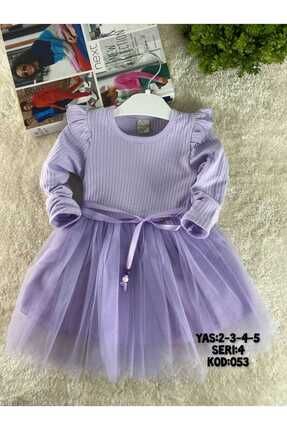 Kız Çocuk Lila Uzun Kol Tütülü Doğum Günü Özel Gün Yılbaşı Hediye Günlük Prenses Elbise
